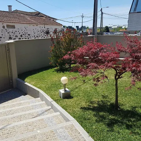 Next To The Airport